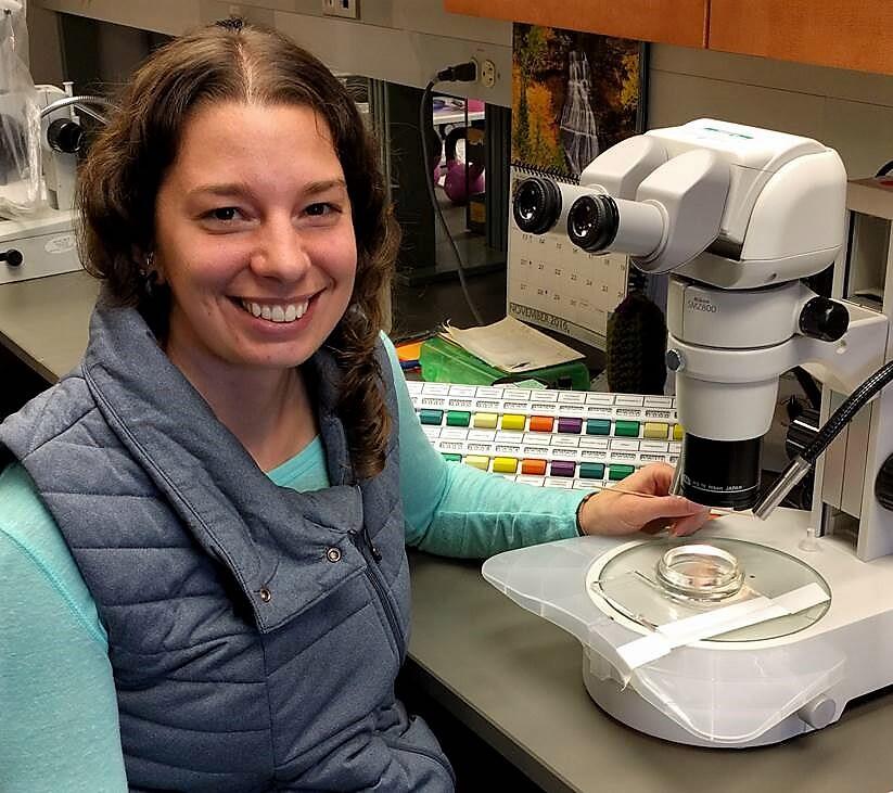 Patty Armenio at microscope