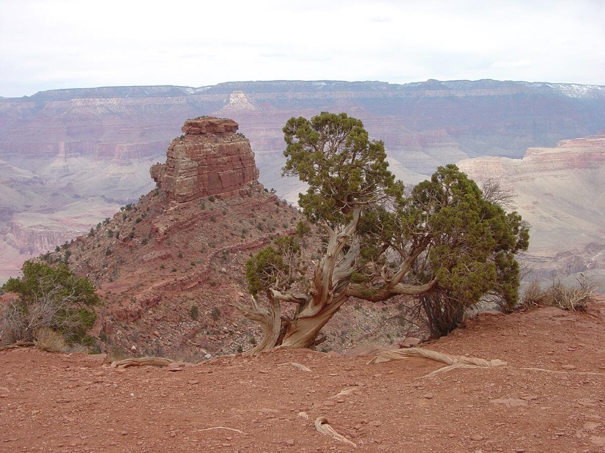 This is a photo of O'Neill Butte.