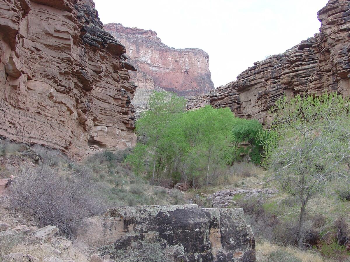 This is a photo of a view looking south along the Bright Angel Trail in lower Garden Creek Canyon.