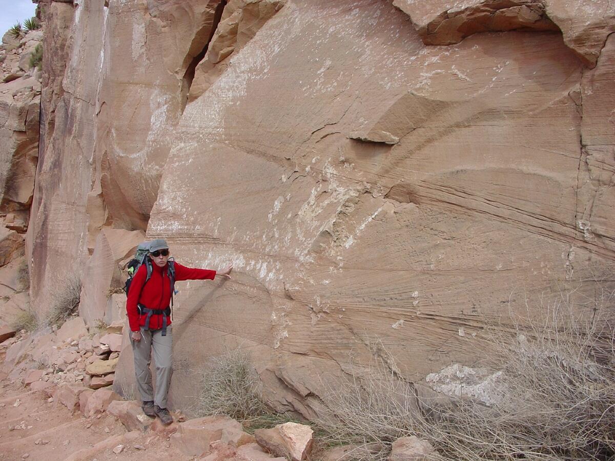 This is a photo of cliff face in the Coconino Sandstone along the South Kaibab Trail.