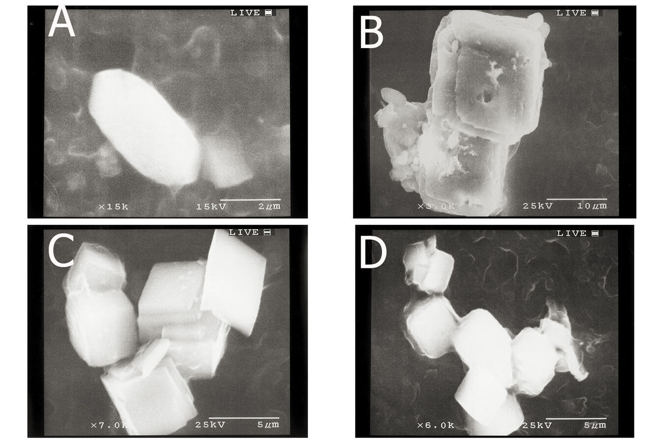 Pyramid Lake Photos: S.E.M. aragonite and calcite particles in water