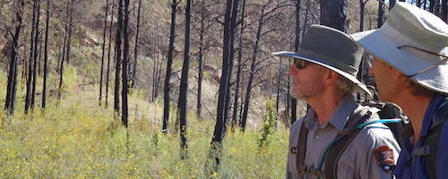 Scientists looking at a burn site in New Mexico. 