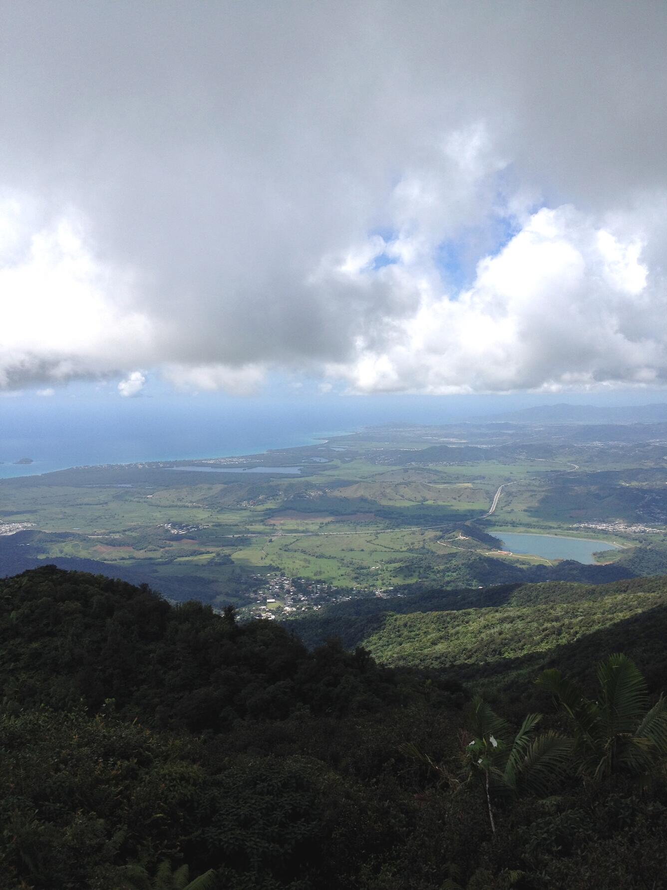 View from Pico del Este in Luquillo Experimental Forest