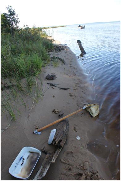 Quantifying nutrient retention and transformation in rivermouths