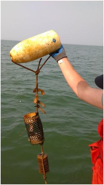 Evaluating potential ecosystem indicators of Great Lakes restoration success