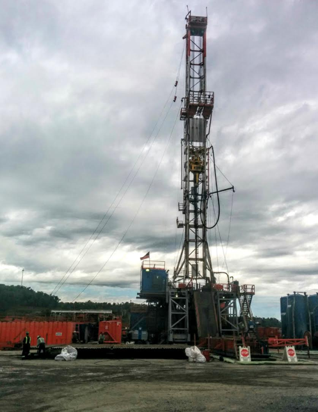 Terrestrial wildlife and unconventional oil and gas development