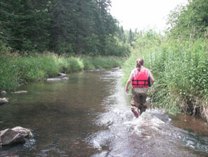 Quantifying changes in hydrology