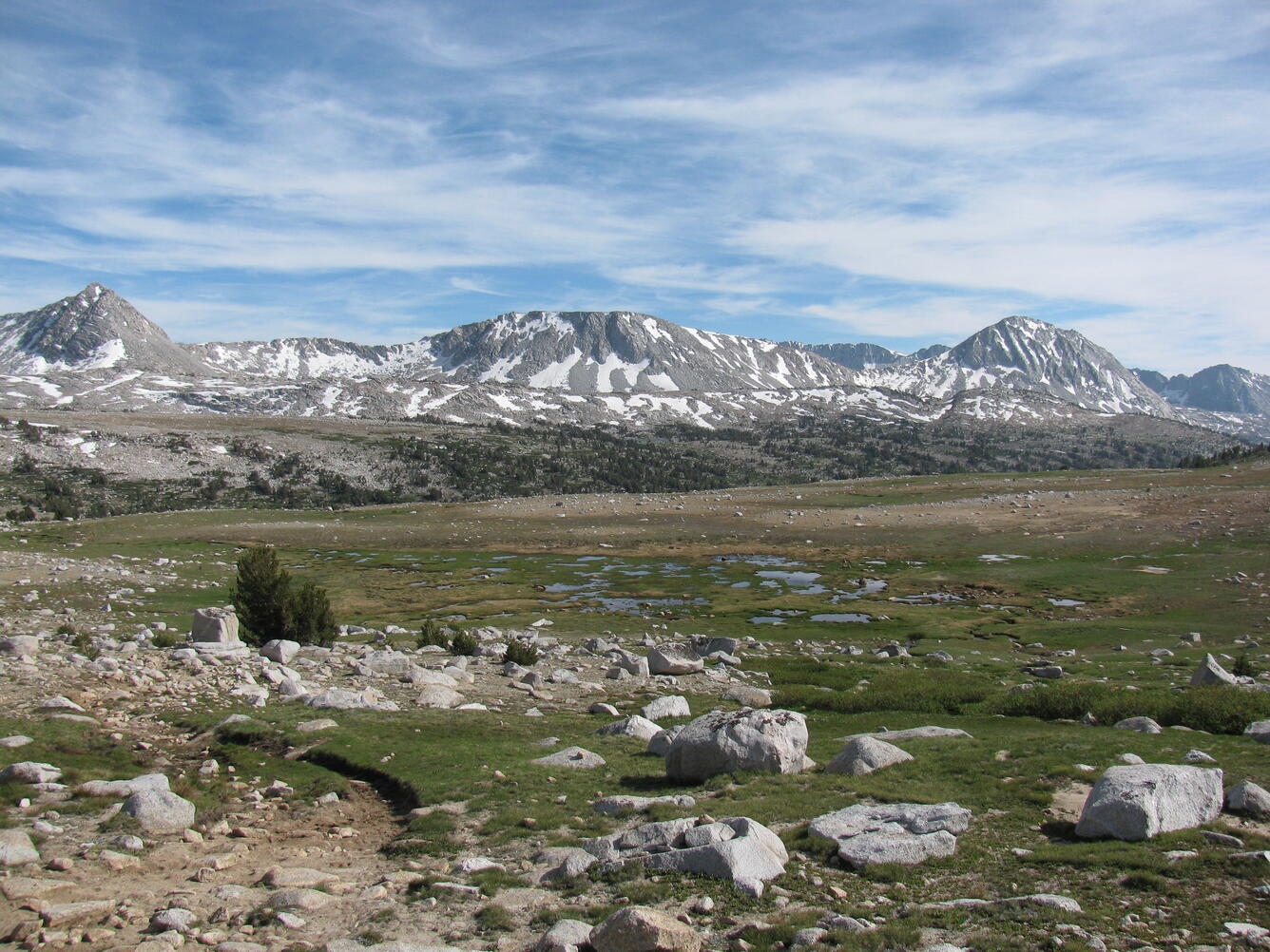 A photo of a meadow in Pine Creek Pass, CA.
