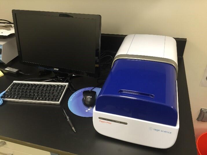 Pippin Prep at the Molecular Ecology Lab at the Fort Collins Science Center.