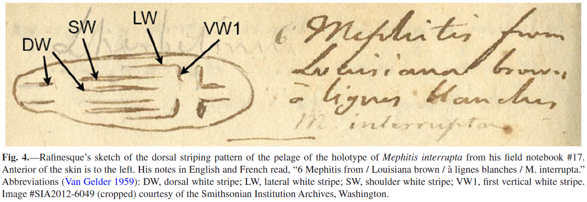 Image shows a selection from a book of field notes