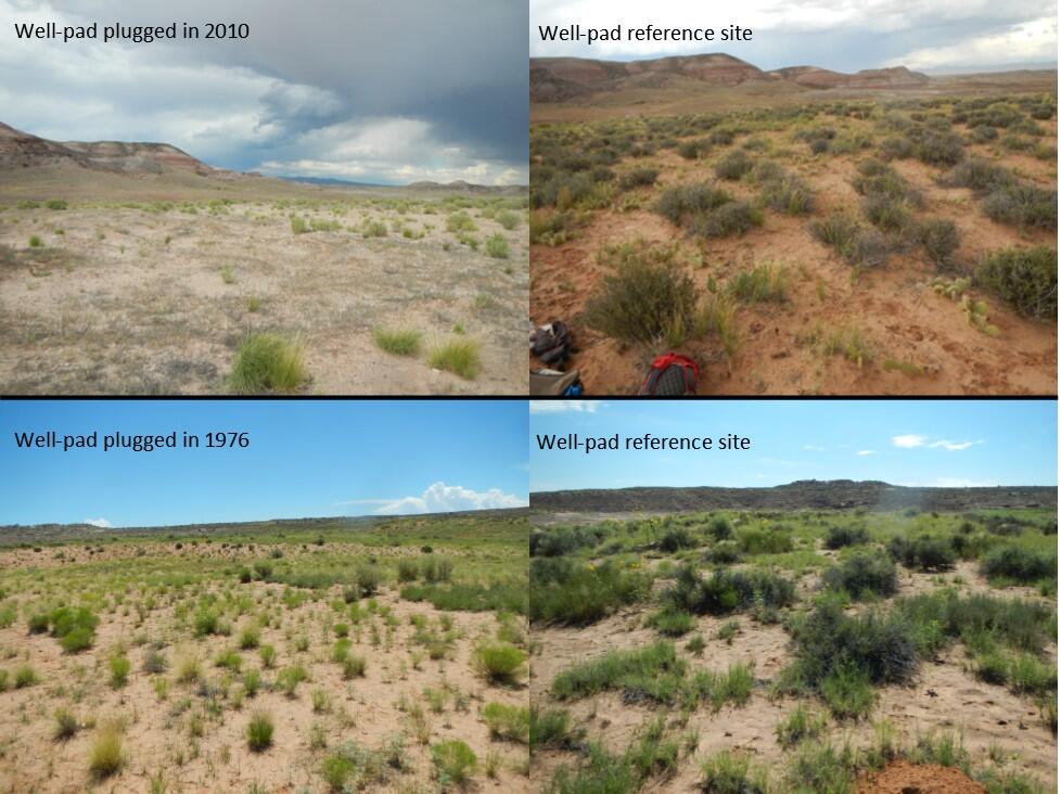 Two plugged and abandoned well-pads and associated vegetation reference communities. 