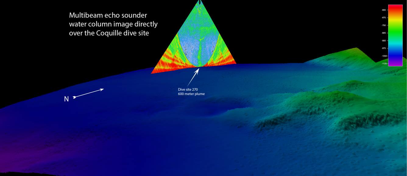 Image shows a seafloor flare superimposed on a bathymetric map 