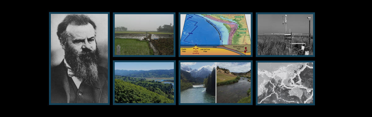 Image collage of selected 2019 Working Group photos