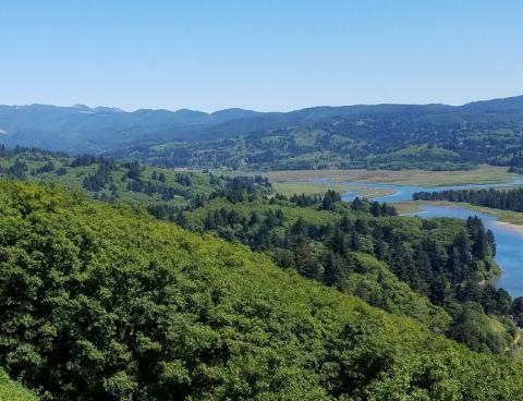 Nitrogen Fixation: Image of a mountain meadow with a river