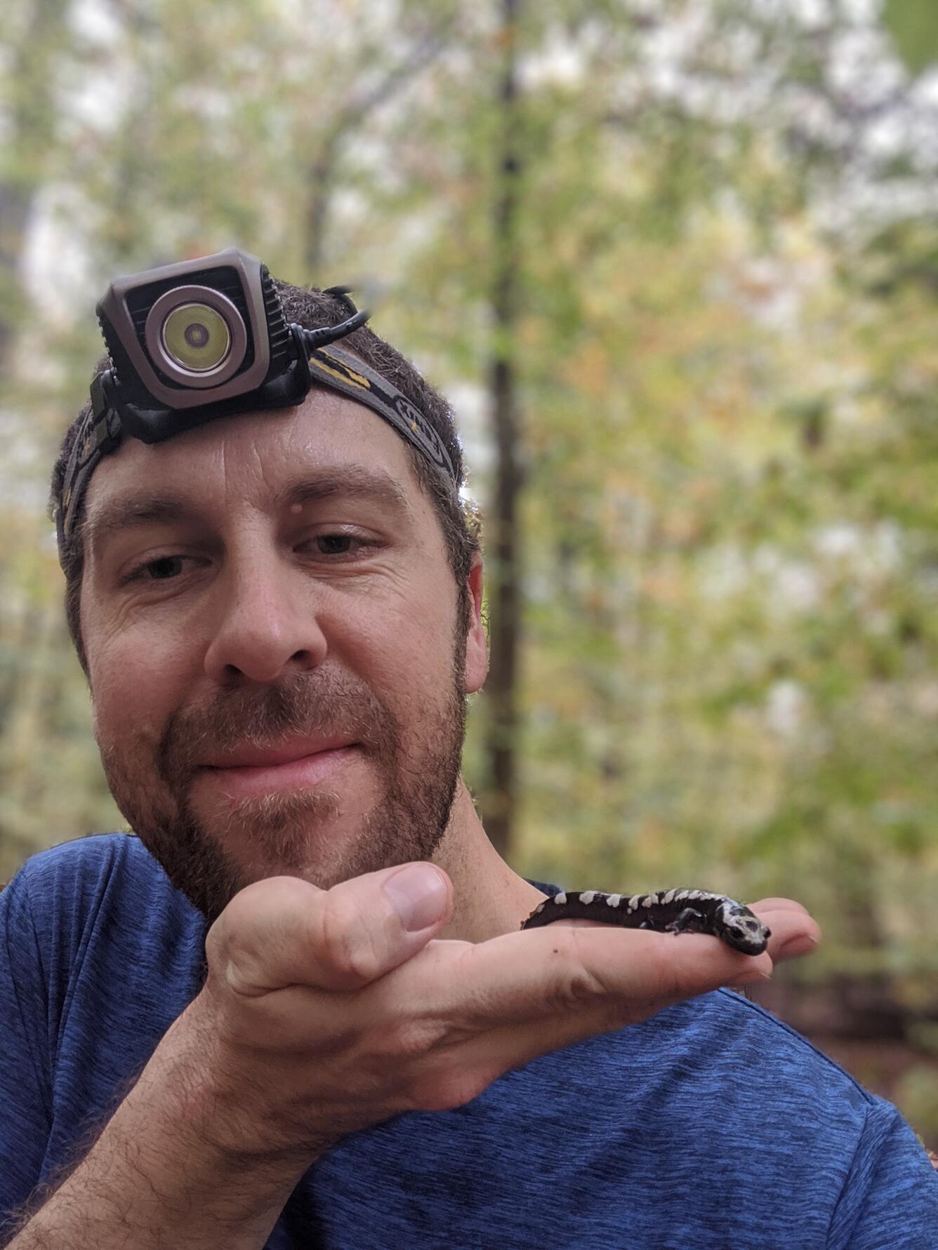 Biologist holding Marbled salamander