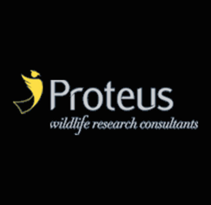 Proteus Wildlife Research Consultant