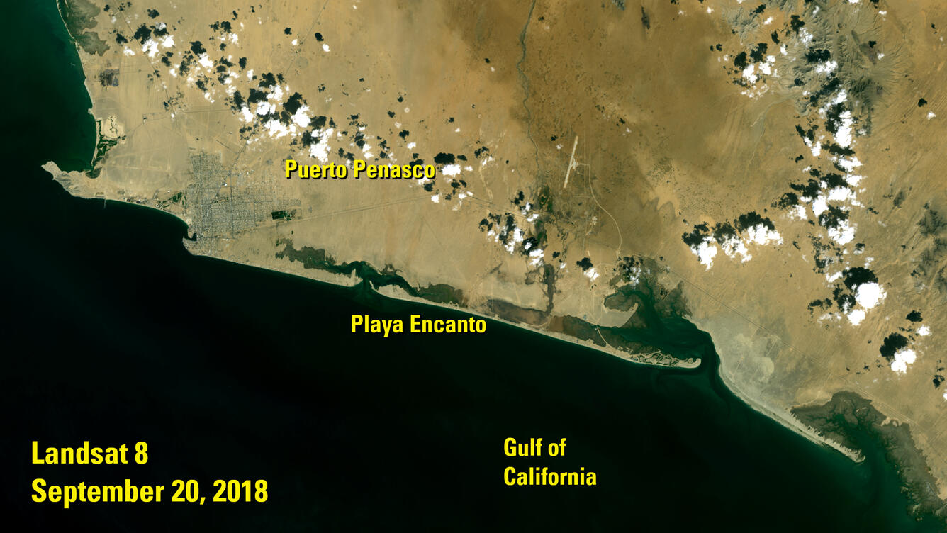 Landsat image of Puerto Penasco, Sept. 20, 2018