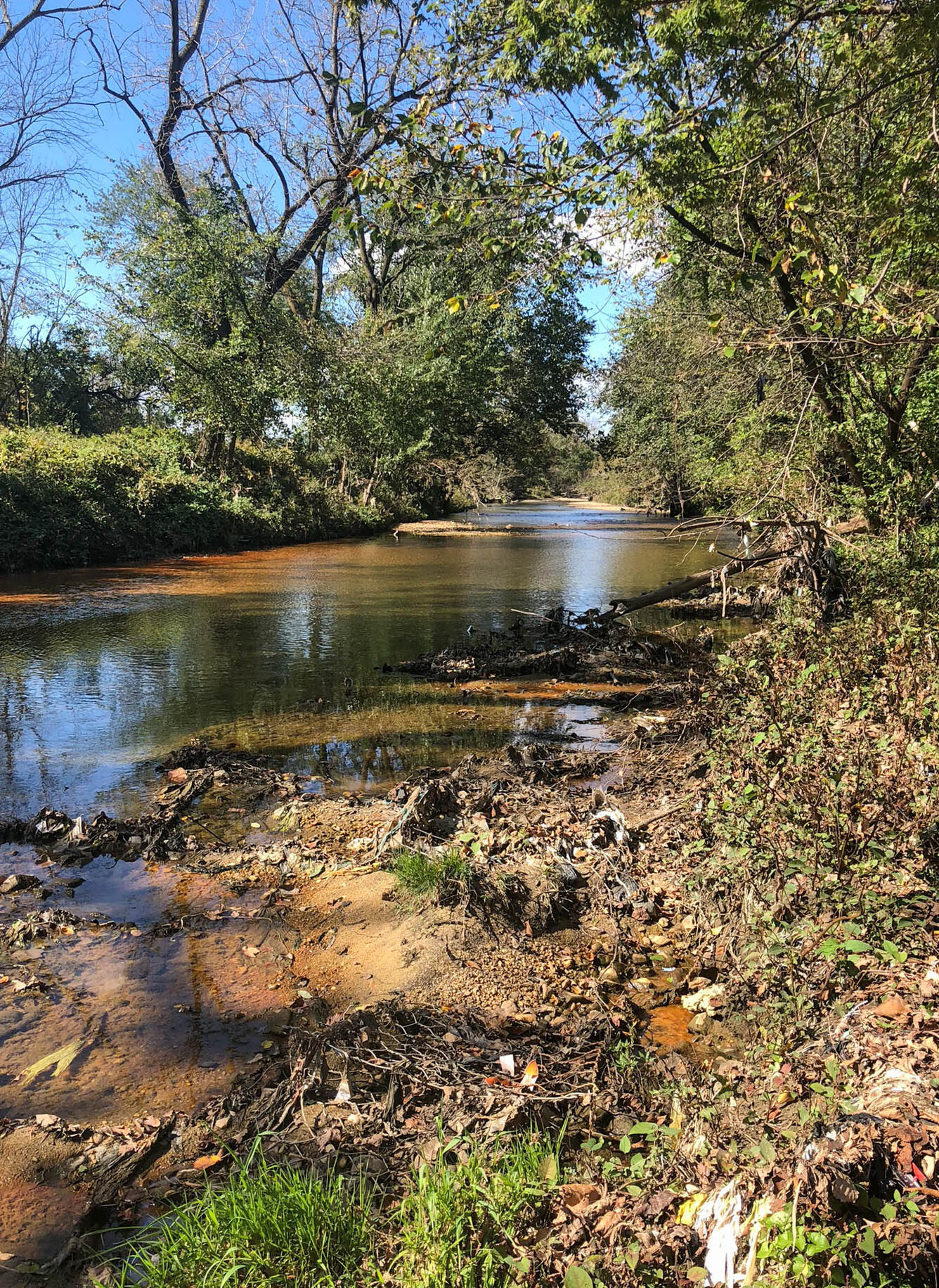 Herring Run (unchannelized side), Baltimore, MD
