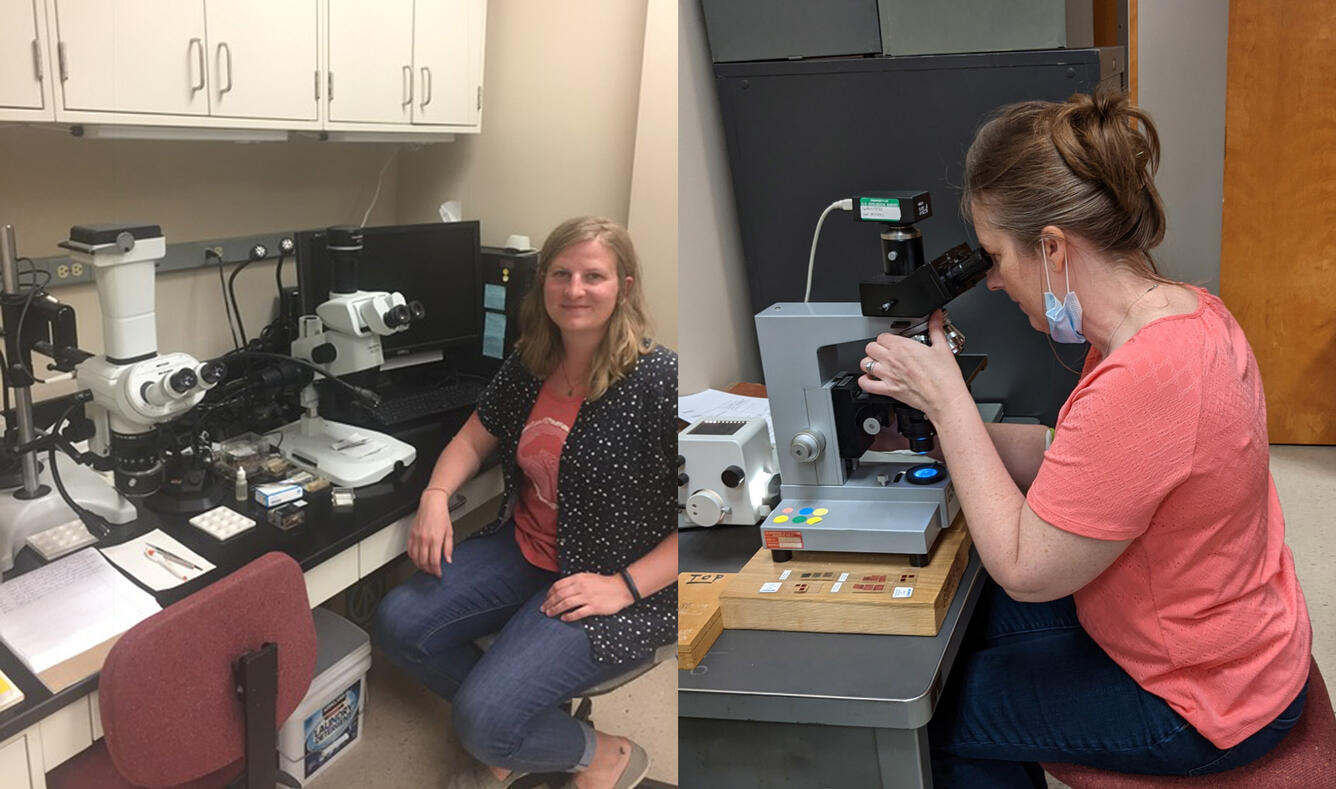 Quaternary Paleobotany Laboratory microscope equipment