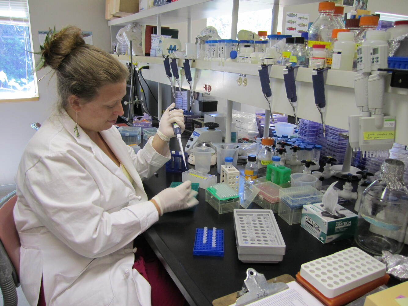 Researcher working in the laboratory