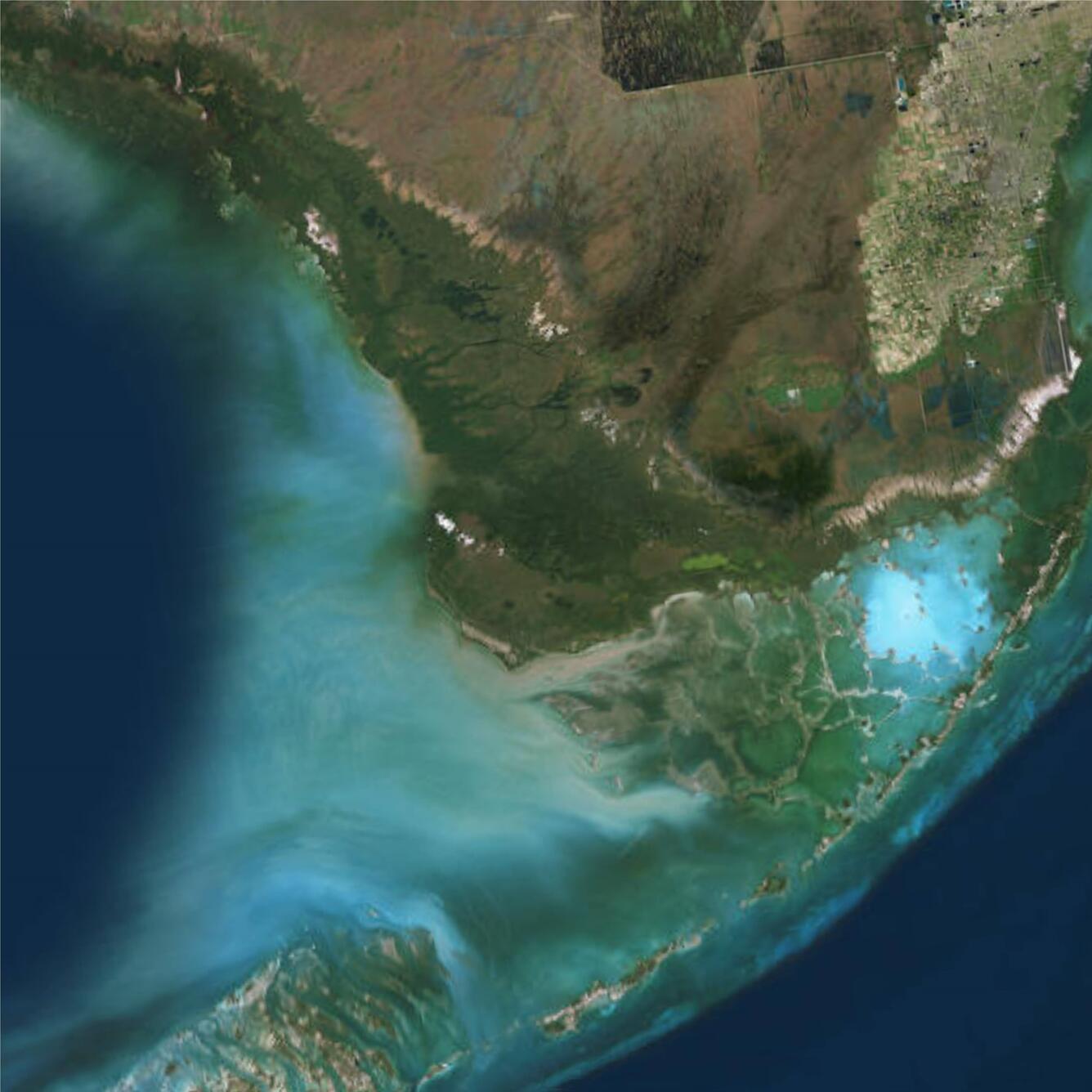 Landsat Composite of Everglades National Park in Florida