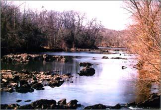 Roanoke River at Roanoke Rapids, NC at low flow.