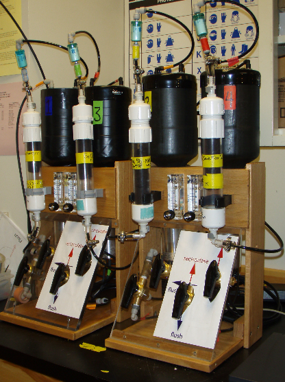 Radium is collected onto manganese-coated fibers and analyzed using delayed coincidence counters