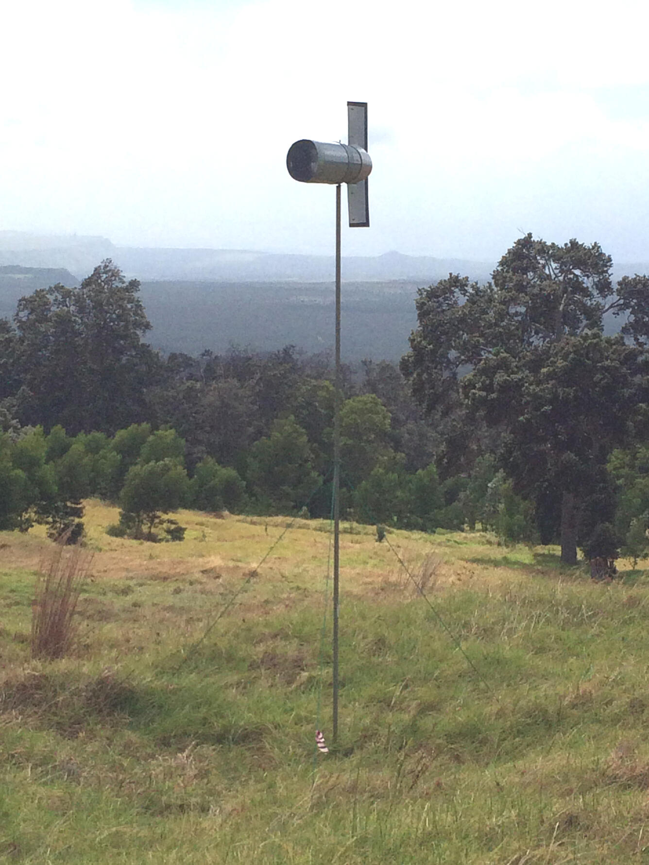 A spore trap deployed in the Kahuku Unit of Hawai‘i Volcanoes National Park to monitor for Rapid ‘Ōhi‘a Death