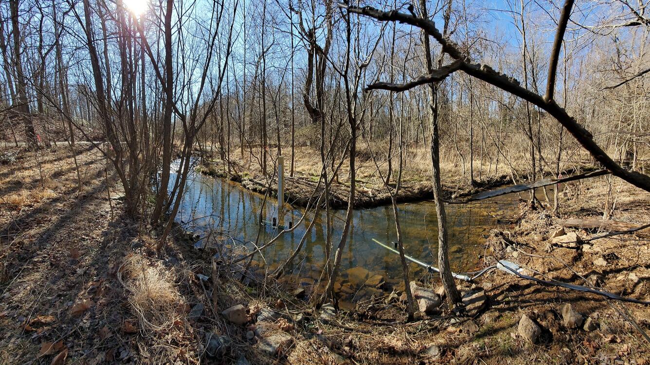 The Glade near Reston, Virginia.
