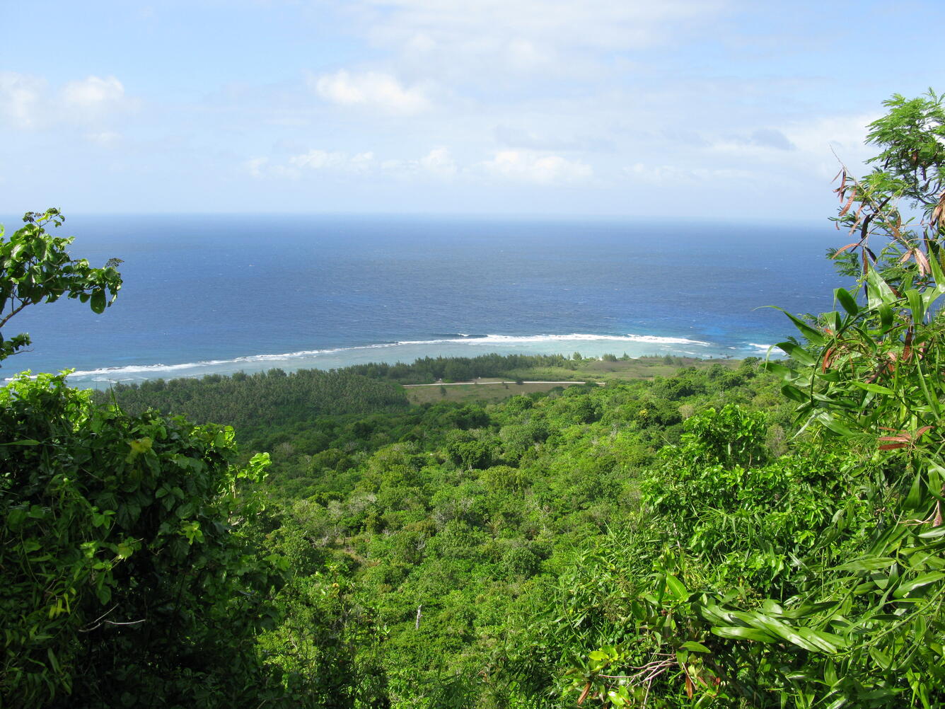 Guam from a hilltop. Robert Reed photo, USGS.