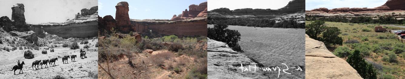 Repeat photography showing changes in dryland ecosystems