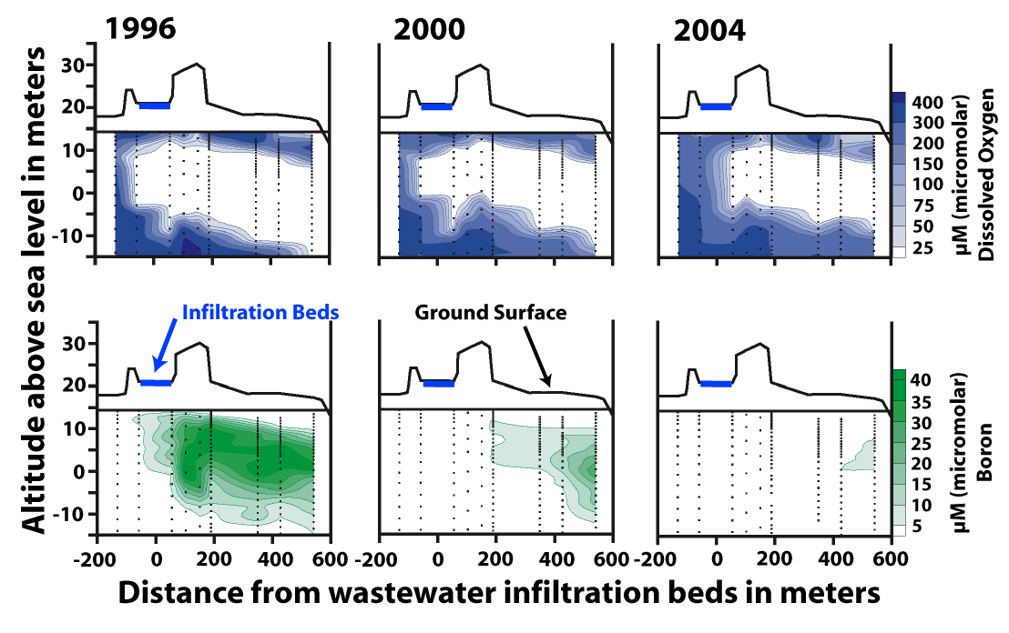 Vertical cross sections along the longitudinal axis of the wastewater plume on Cape Cod, Massachusetts. Each cross section gives