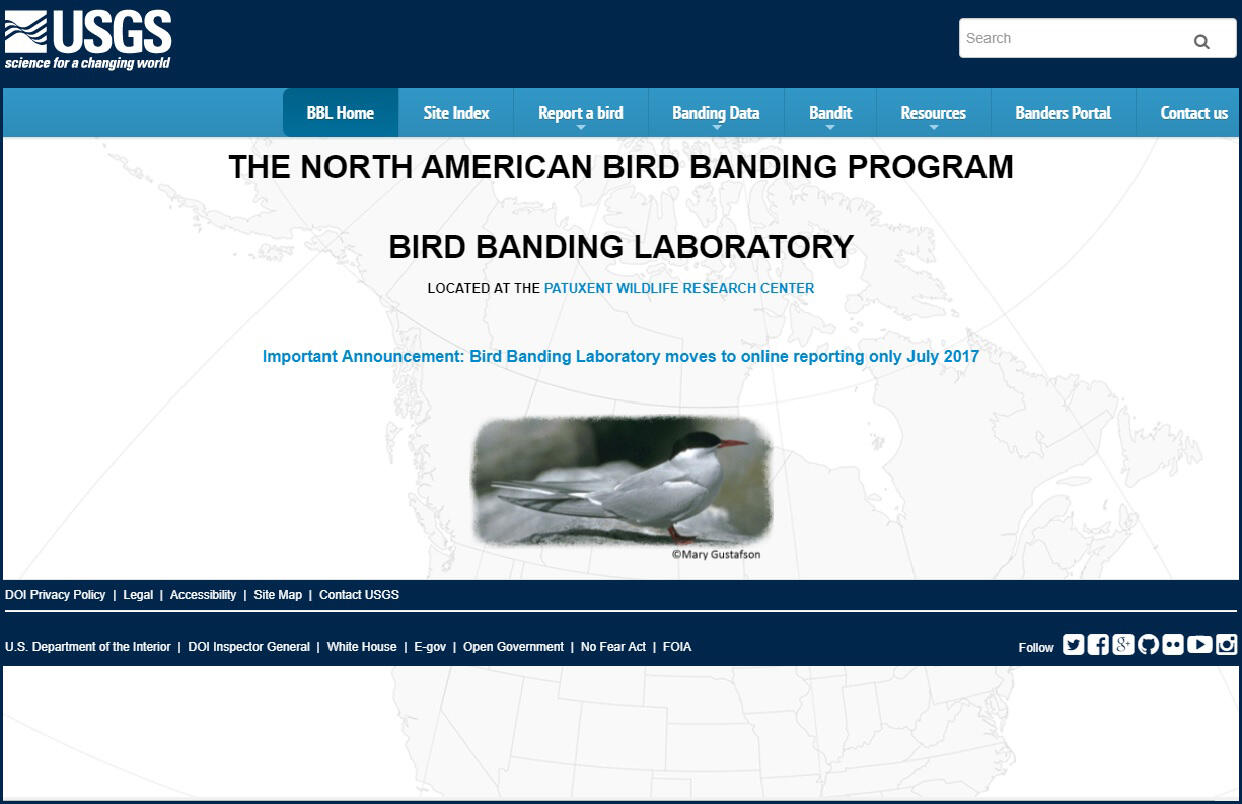 Resources for Banders