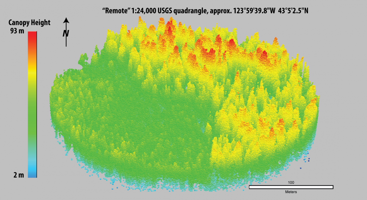 Lidar image of forest canopy