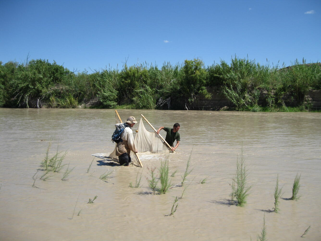 Collecting fish samples in the Rio Grande, Texas