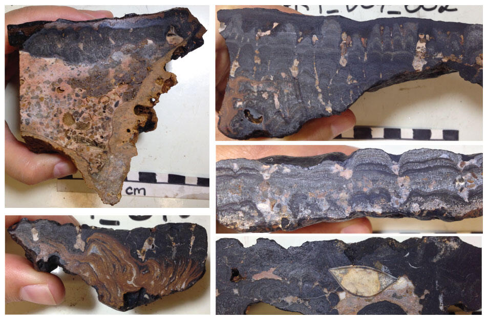 A series of photo graphs of rock samples that have been cut in half to reveal the inside structure.