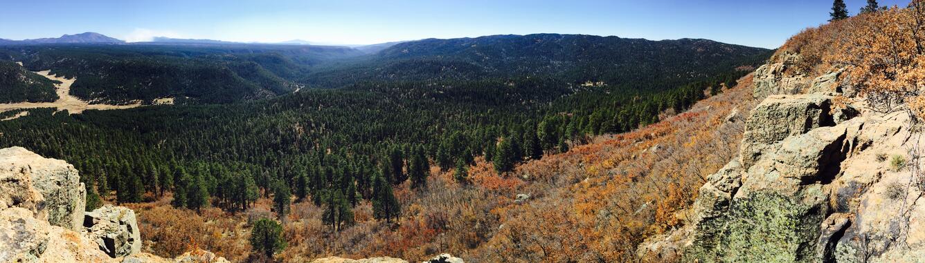 Rio de las Vacas in the west Jemez Mountains, New Mexico.  Photo credit Lane Johnson.