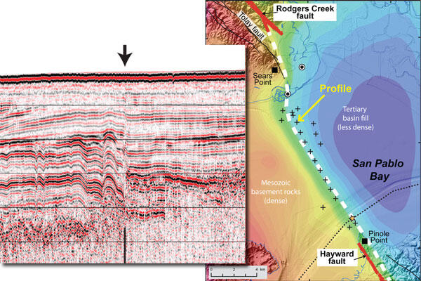 Seismic-reflection profile shows sediment layers beneath a bay, and map shows variations in gravity under the bay.