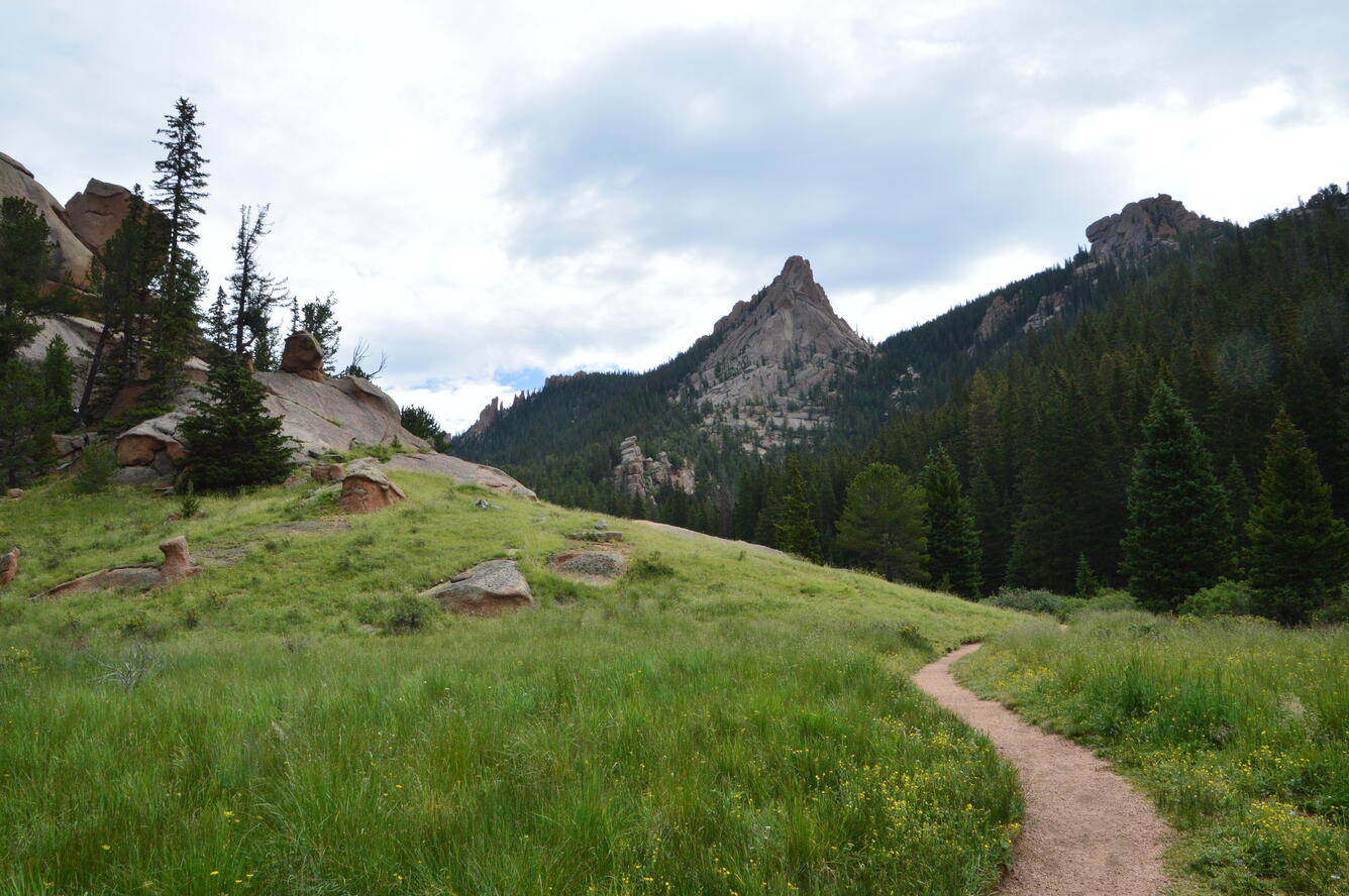 NDTc - Pike National Forest