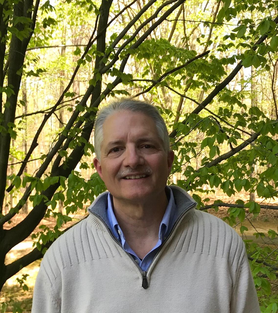 Rob Dollision profile photo