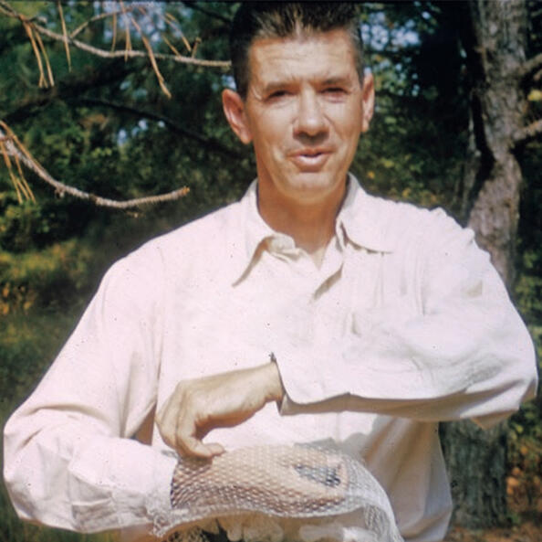 Chandler Robbins banding song birds in 1948