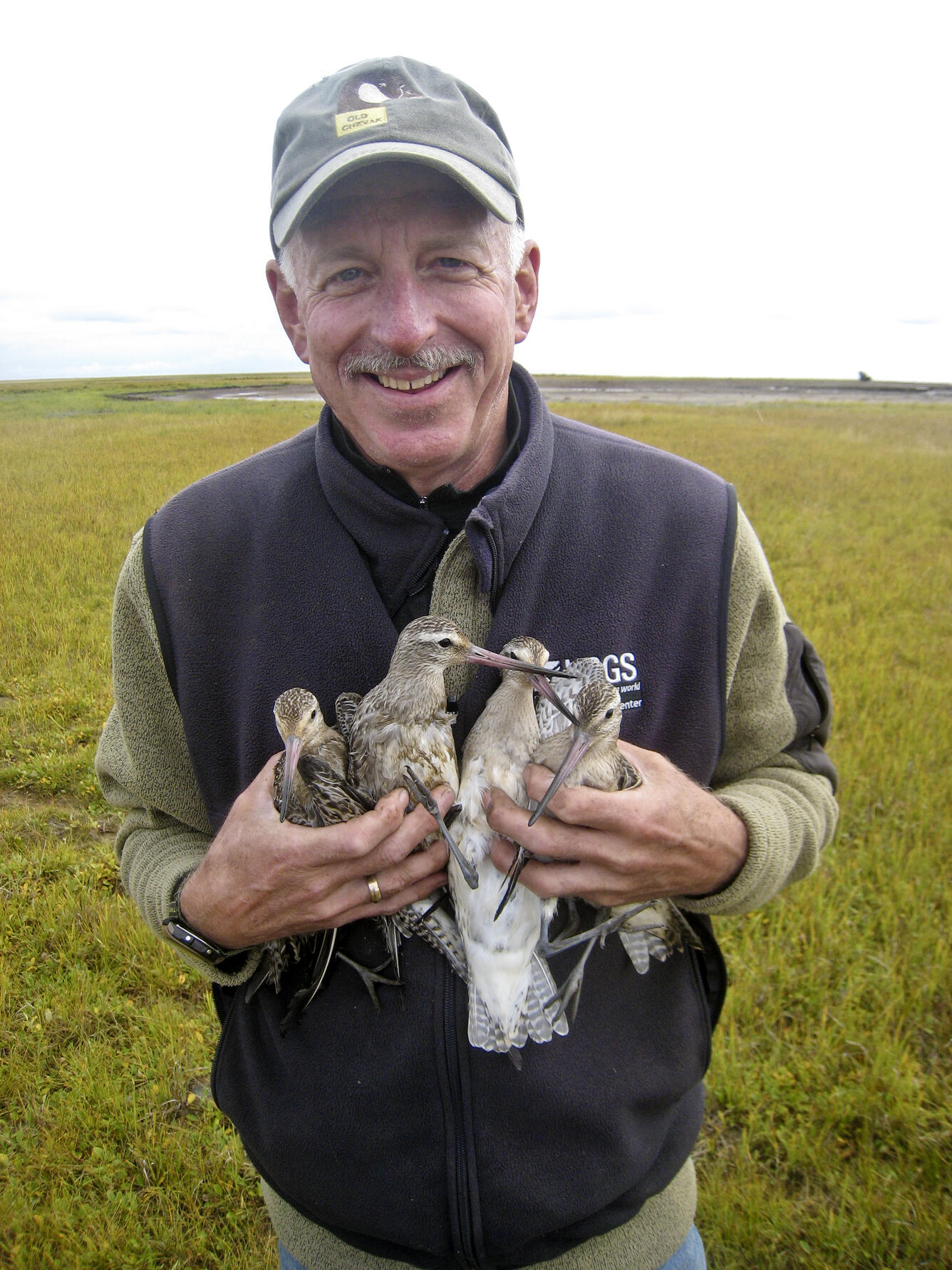 Robert Gill Jr. holding Bar-tailed Godwits