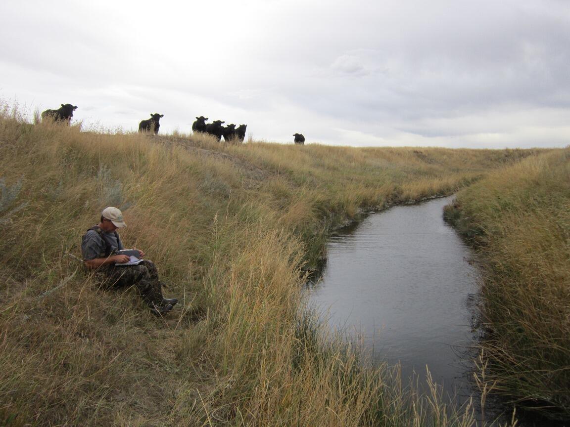 Montana Fisheries USGS Hydrologist Being Observed
