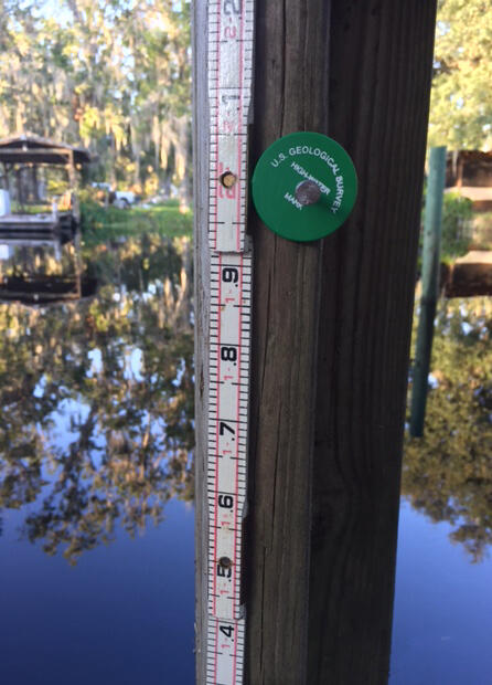 This green disc identifies a USGS High-Water Mark, which was found south of Jacksonville, Florida, September 27, on a canal.