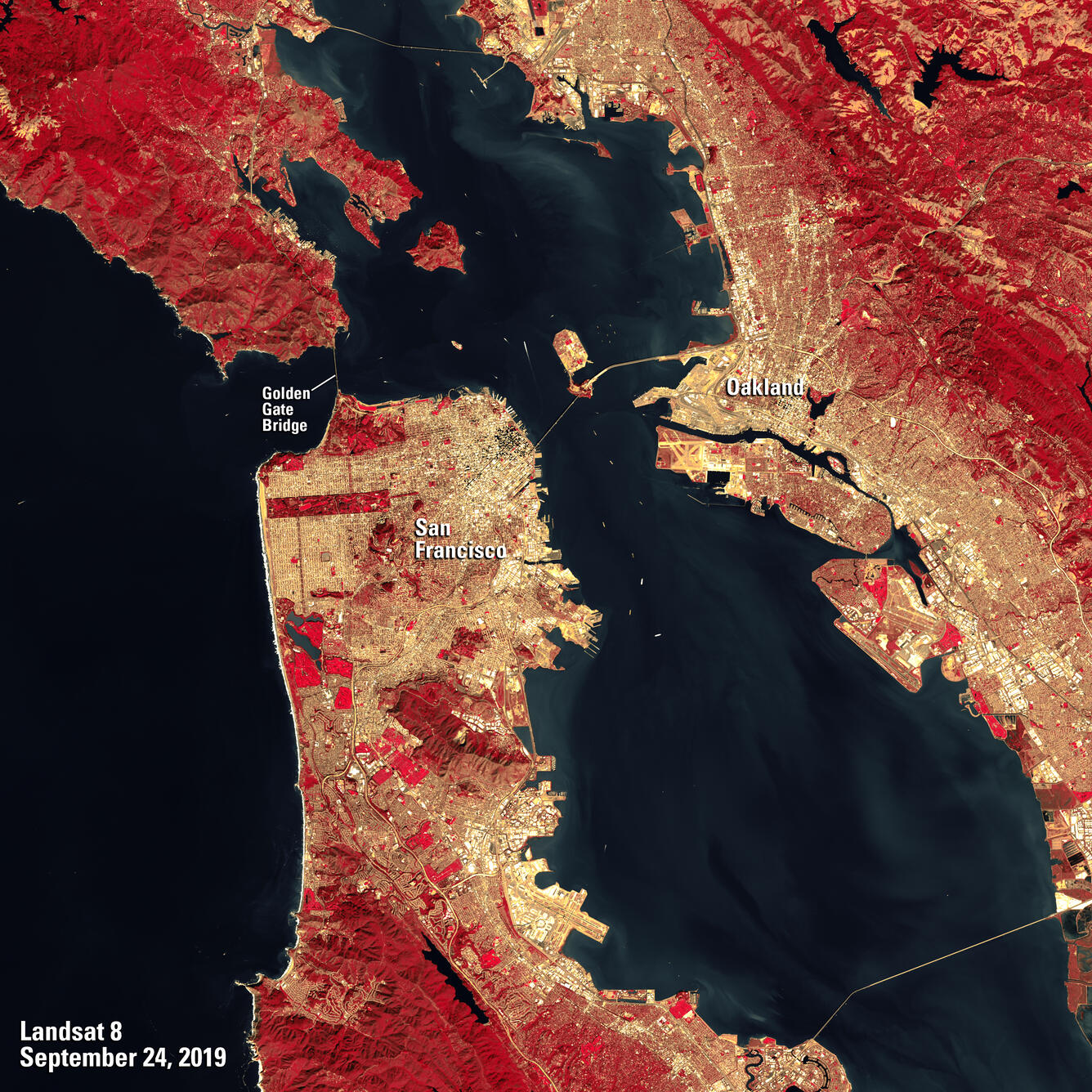 Landsat 8 image of San Francisco, CA