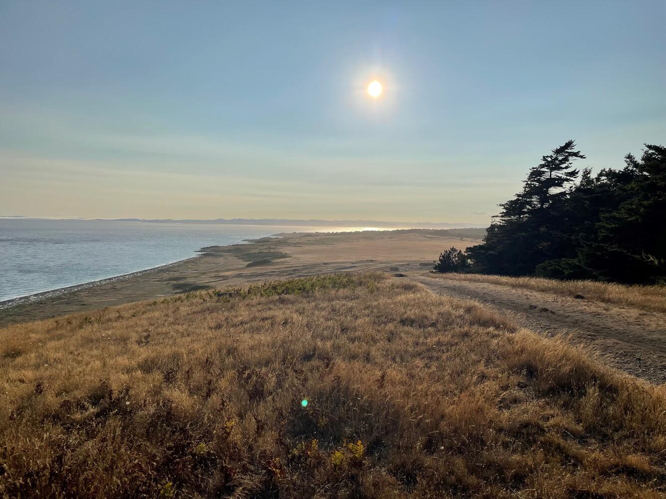 Coastline San Juan County, Washington