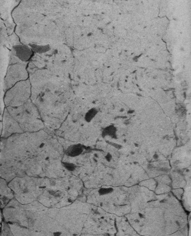 An x-ray of a sediment core shows structural detail.