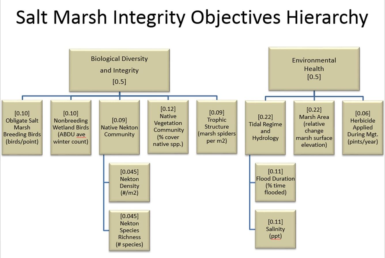 SDM Framework for Salt Marsh Integrity Monitoring