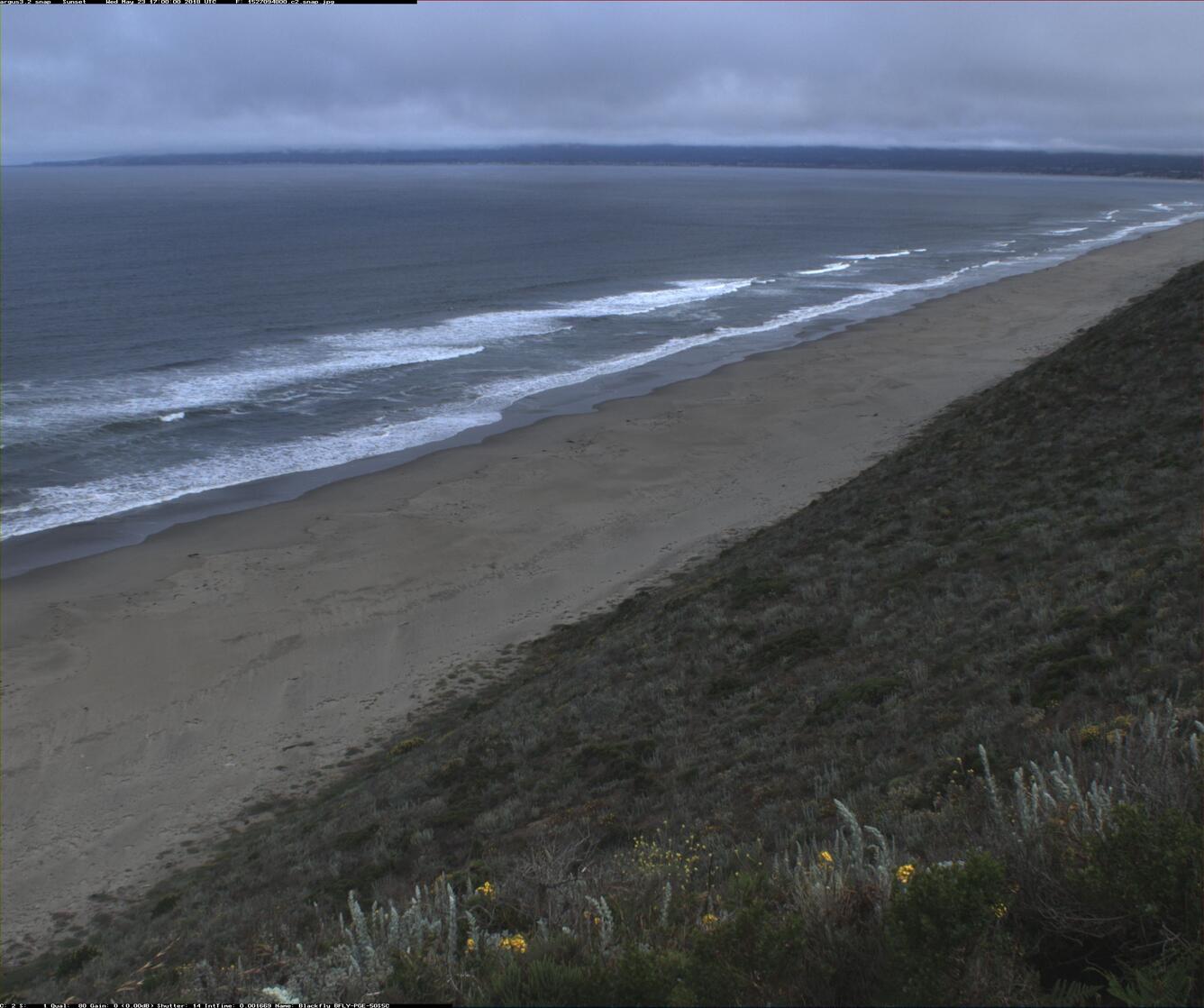 Vegetation in foreground up on a beach bluff above flat beach with waves.