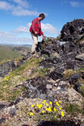 Photo of a geologist surveying the Casadepaga Schist at the Glaucophane Volcano, Seward Peninsula, Alaska